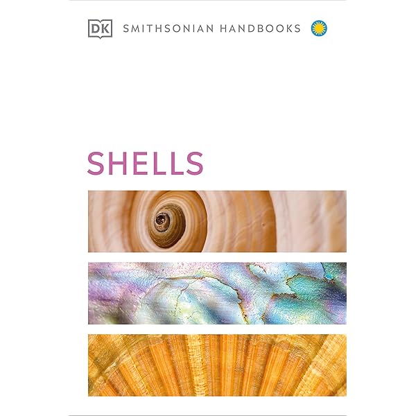 The Encyclopedia of Seashells: Gary Rosenberg: 9780880298230