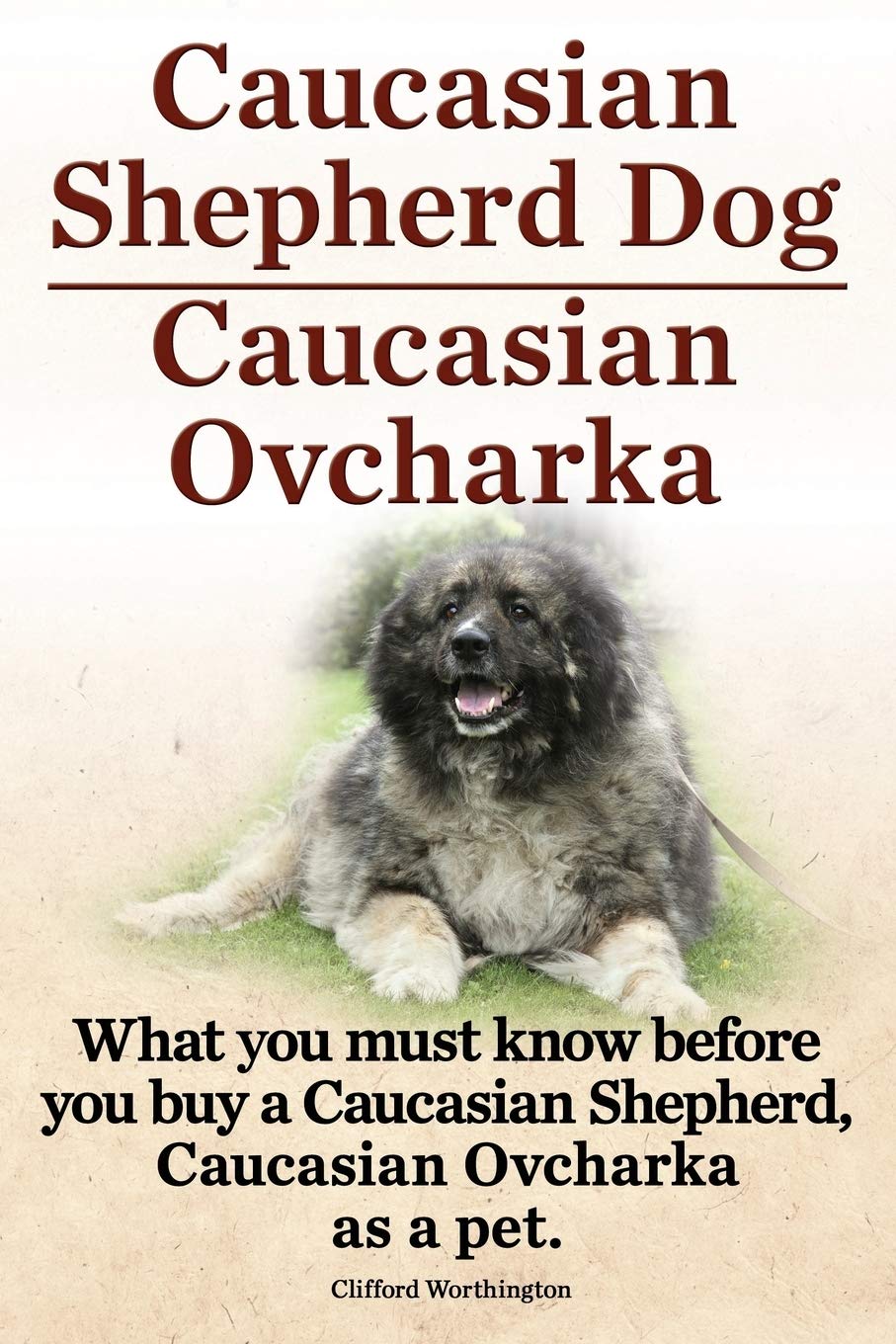 show me a picture of a caucasian shepherd