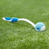 Chuckit! The Whistler Ball – Large 7.3 cm Rubber Dog Toy with Whistle view 5