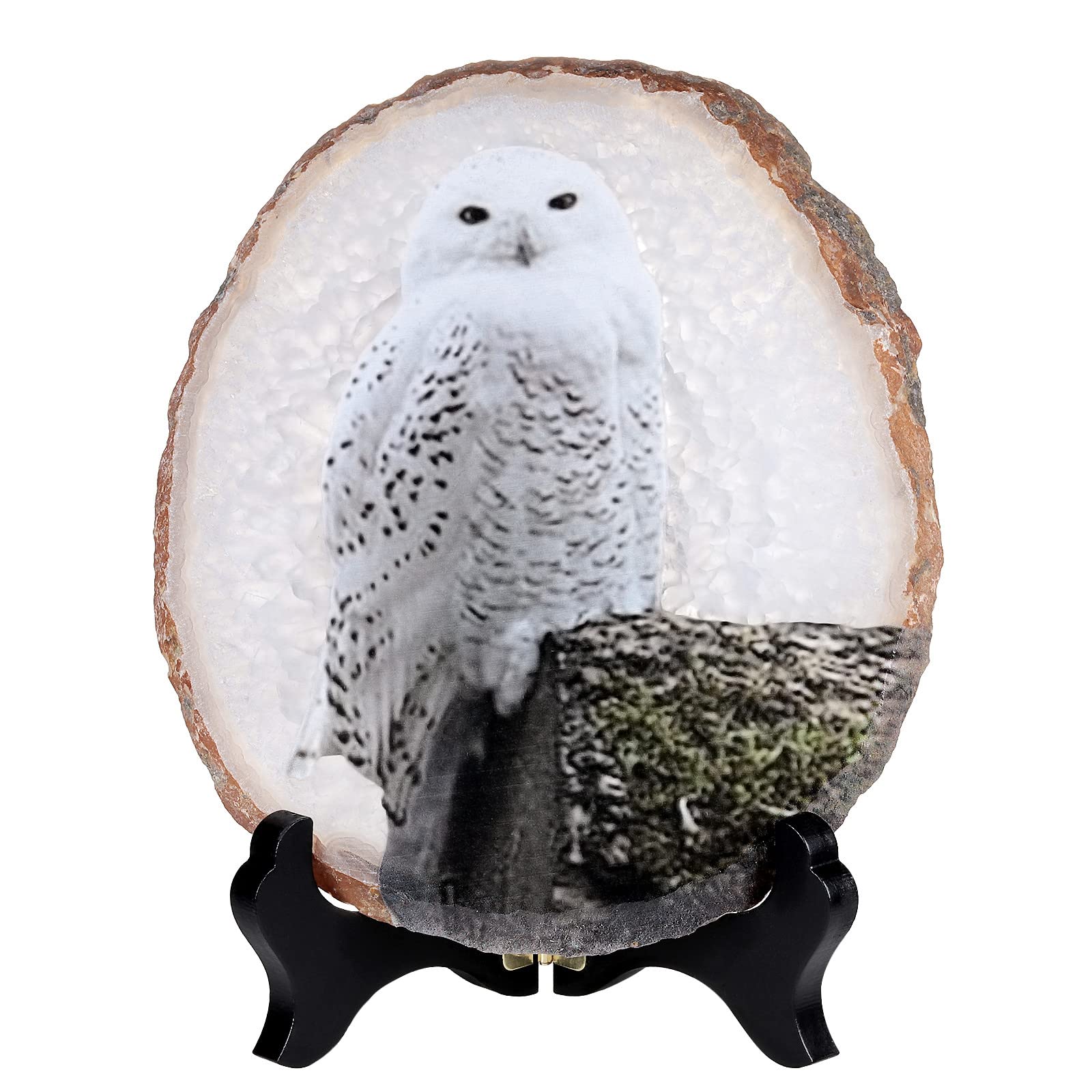 Mookaitedecor Snowy Owl Agate Stone Art Print Ornament with Stand - Good Luck Feng Shui Crystal Home Decor, Healing Crystal Animal Gift Ornament