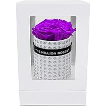 Amazon Com The Million Roses Luxury Single Bright Purple Rose With White All Over Logo Box Premium Real Roses Long Lasting Preserved Gift Grocery Gourmet Food