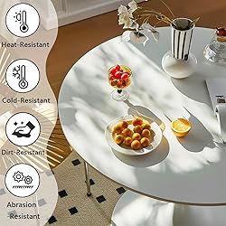 Howhio White Round Dining Table, 24 Inches Tulip
