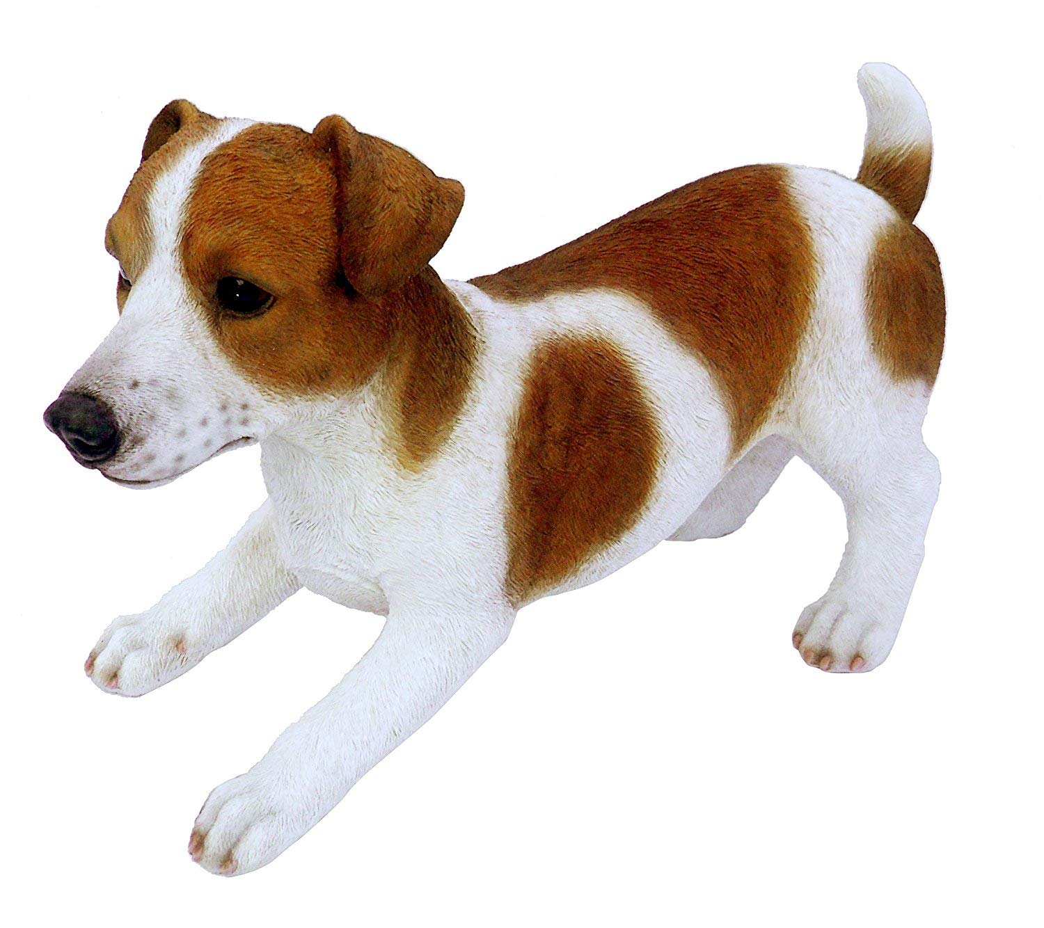 Real Life Medium Jack Russell Dog Garden Ornament (SizeD)