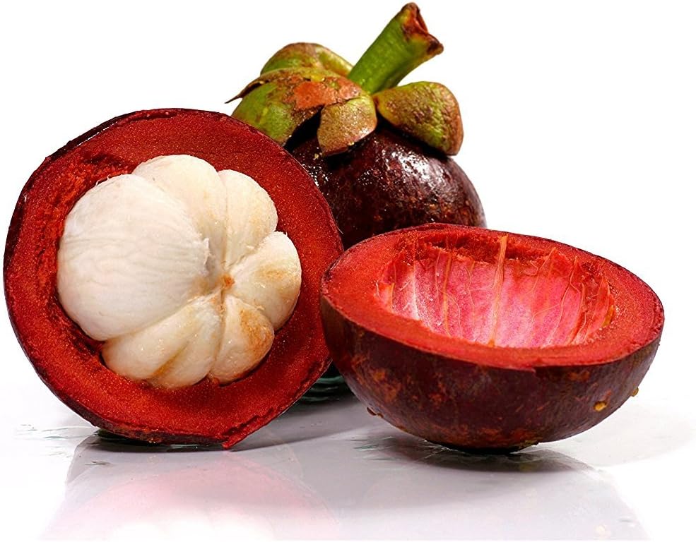 SwansGreen Hot Sale! 20Pcs Family Clusiaceae Garcinia Mangostana Seeds Evergreen Tree Purple Mangosteen Fruit Seeds Rate 95% Garden Plant