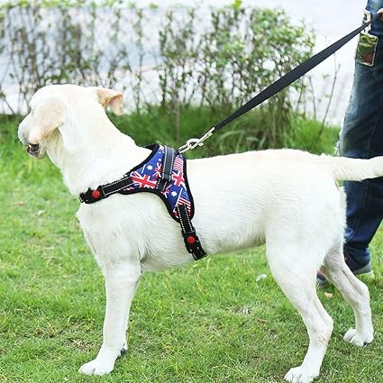 Alisa Gilet De Harnais Pour Chien No Pull Harnais De Marche Réglable Rembourré