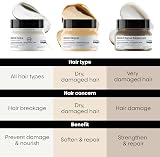 LOréal Professionnel Absolut Repair Mask with Protein and Gold Quinoa 250 ml view 6