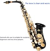 EASTROCK Alto Saxophone Beginner E Flat Black Lacquer with Case Reeds Gloves view 7