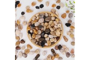 WHANLEY L&Q 2.1 LB Decorative Stones (1.5~2.5 Inches) Polished Pebbles,Rocks for Indoor Plants,Landscaping Stones,Decorative Rocks for Vase,Aquarium Gravel,River Rocks,Pebbles for Outdoor,Garden Rock