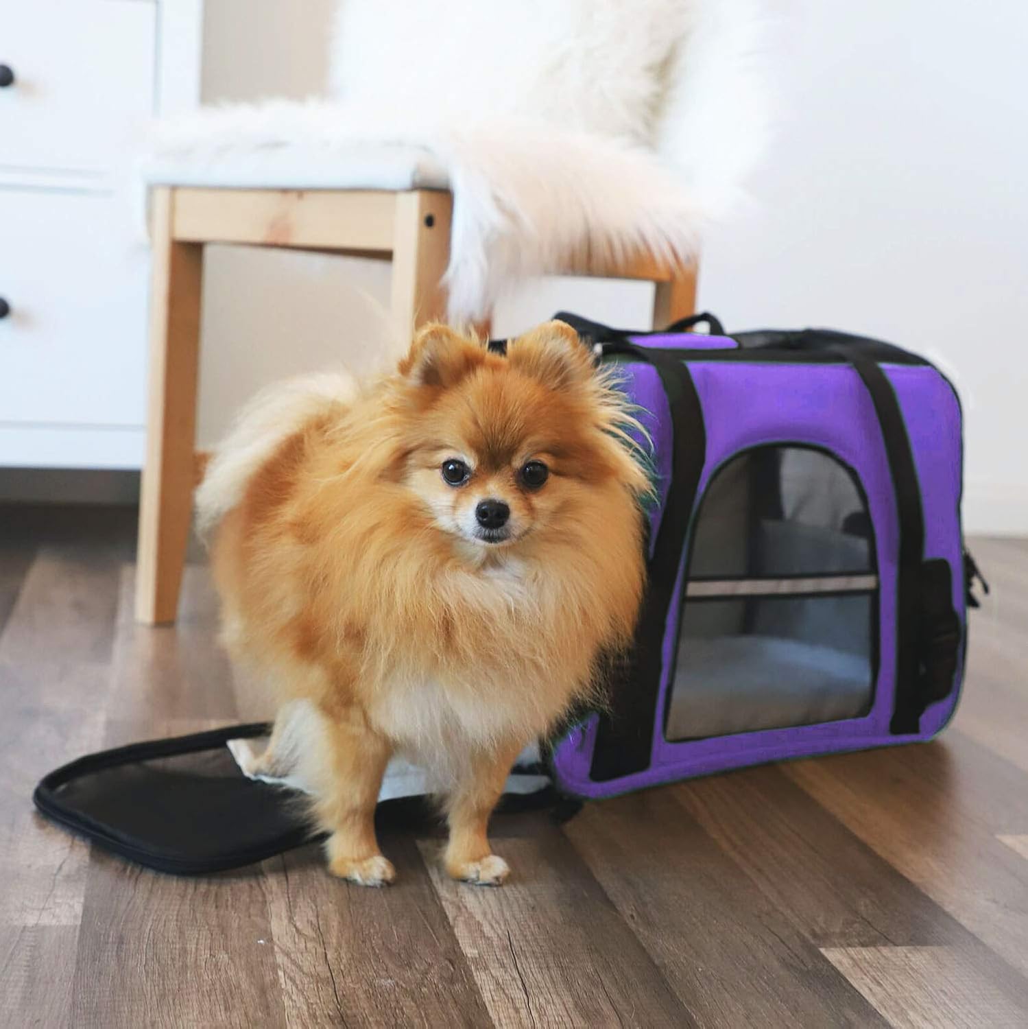 Paws & Pals Airline Approved Pet Carrier - Soft-Sided Carriers for Small Medium Cats and Dogs Air-Plane Travel On-Board Under Seat Carrying Bag with Fleece Bolster Bed for Kitten Cat Puppy Dog Taxi : Pet Supplies