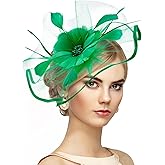 Zinniday Vintage Tea Party Hat - 2026 Mesh Kentucky Fascinators Headband Flower Feather Derby Hats for Women Girls