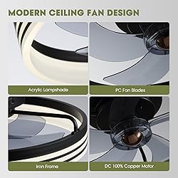 LUDOMIDE Ceiling Fans with Lights, Flush Mount