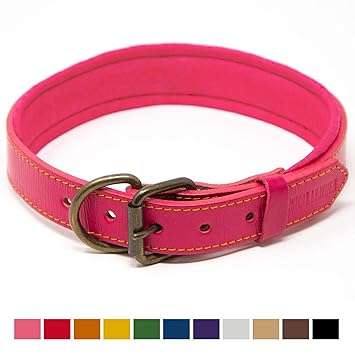 premium dog collars and leashes