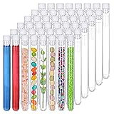 SUPERLELE 48 Pack Plastic Test Tubes with