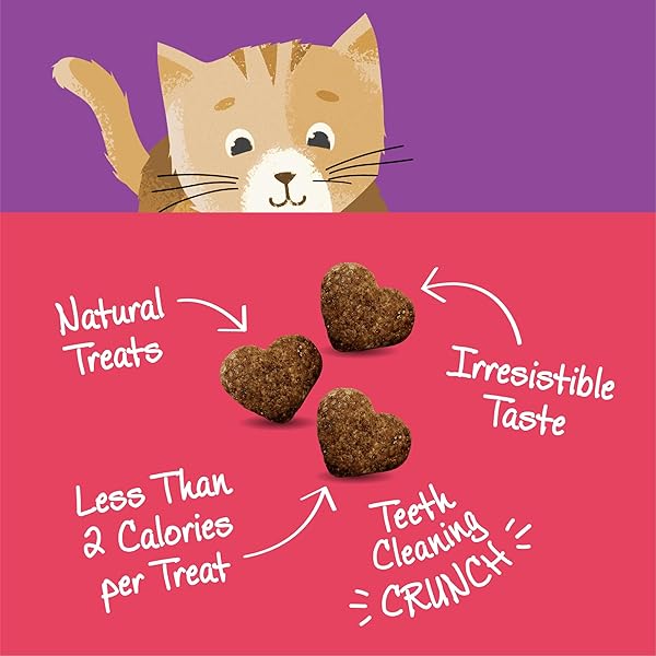 WELLNESS KITTLES CRUNCHY NATURAL GRAIN FREE CAT TREATS, SALMON & CRANBERRIES RECIPE, ALL LIFE STAGES, 2-OUNCE BAG