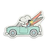 Peanuts Snoopy and Surfboards in Car Wood Wall