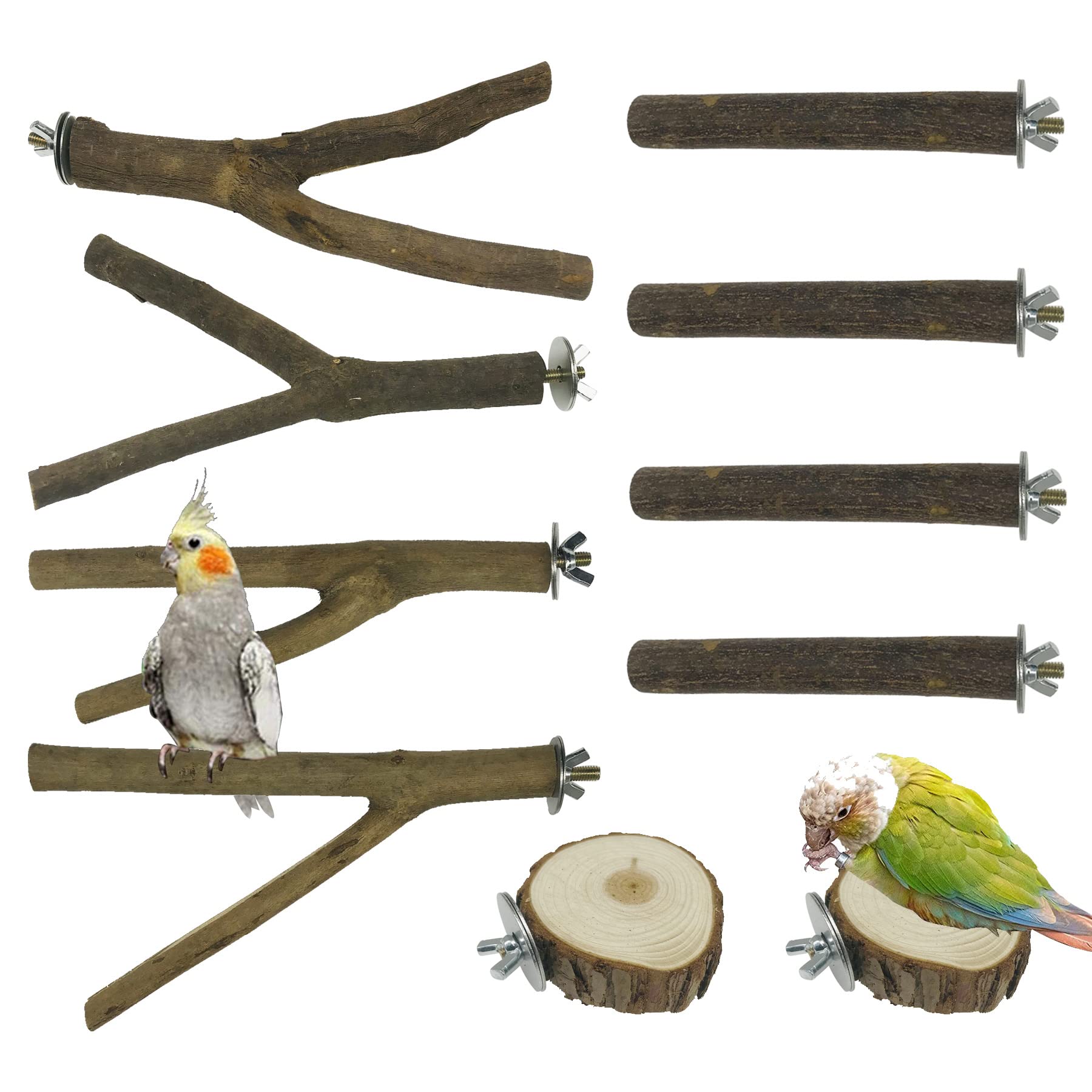 Allazone 10 PCS Natural Wood Bird Perch Stand, Bird Parrot Perch Stand Set, Wooden Parrot Perch Stand Perch Platform Cage Accessories for Parrotlets Cockatiels Budgies Parakeets