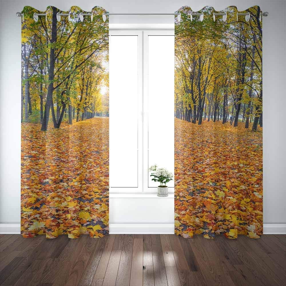 Cortinas de ventana largas, cortina de ventana de puerta, callejón