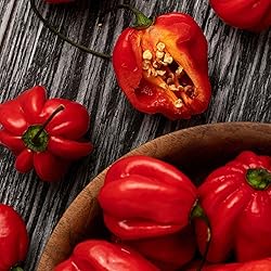 Eden Brothers Hot Pepper Seeds - Habanero Red