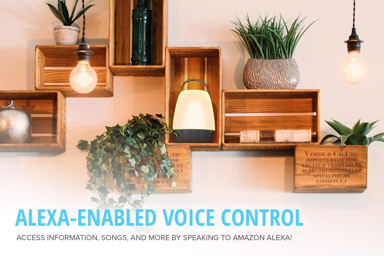 nova wireless smart speaker