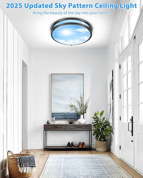 OYKYOHEI 2 PACK 24W LED CEILING LIGHTS FOR OFFICE HALLWAY BEDROOM, 12 INCH DIMMABLE FLUSH MOUNT LED CEILING LIGHT FIXTURE, 6500K/5000K/4000K/3500K/3000K ADJUSTED MODERN LAMPS (CLOUD BLUE SKY COVER)