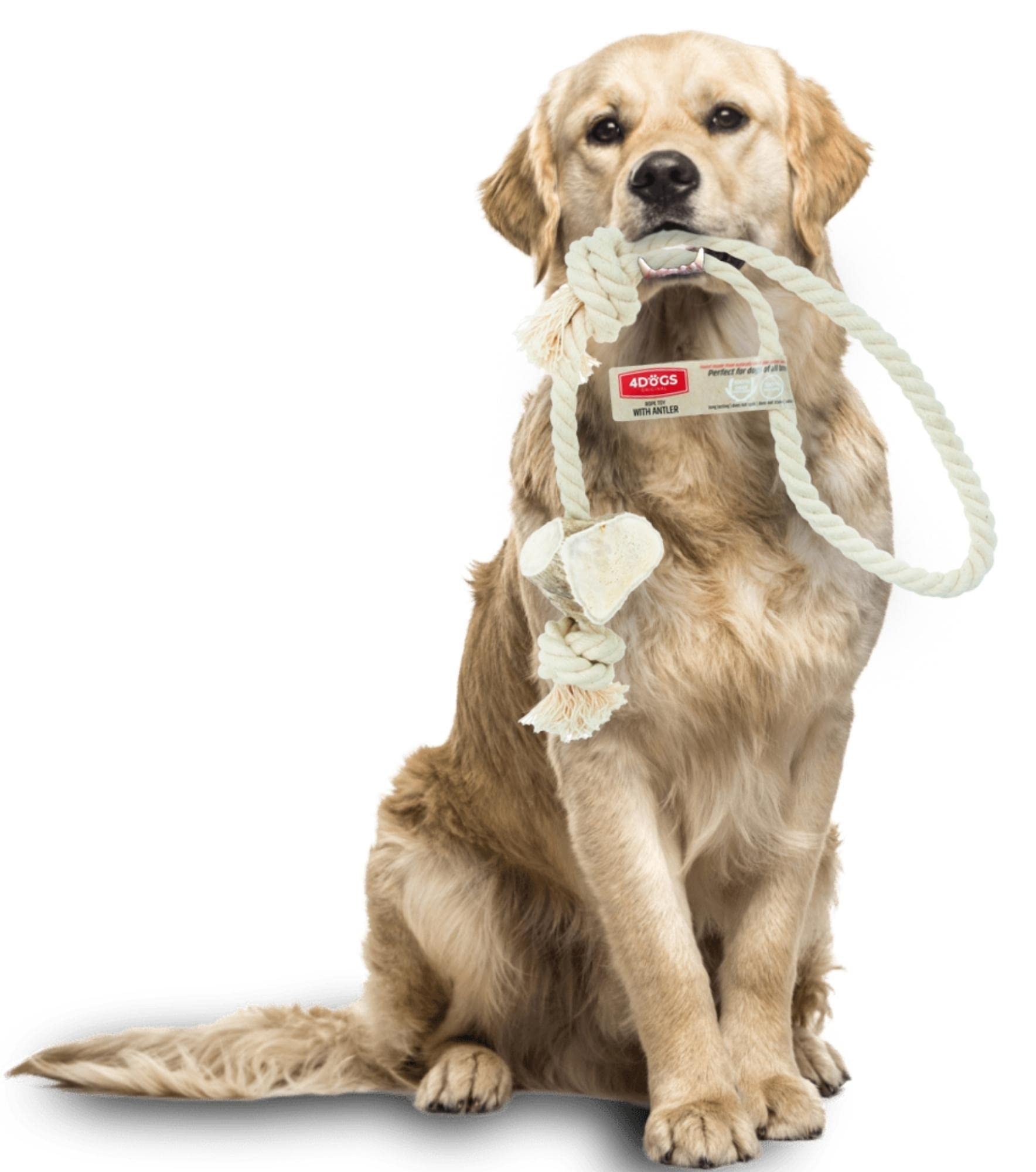 4DOGS Dog Rope Toy for Dog Teeth Cleaning Combined with Natural Dog Chew Antler, This is 100% Natural Gluten Free, GMO Free Dog Toys - 1 Piece Loop - Large Mix