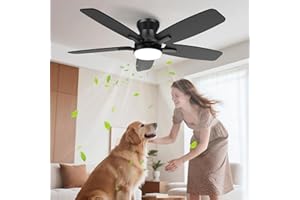 HISUMMER Low Profile Ceiling Fan With Light, 42inch Flush Mount Ceiling Fan with Lights and Remote for Bedroom/Living Room, Modern/Farmhouse Ceiling Fans for Indoor/Outdoor Reversible, 3CCT, Noiseless