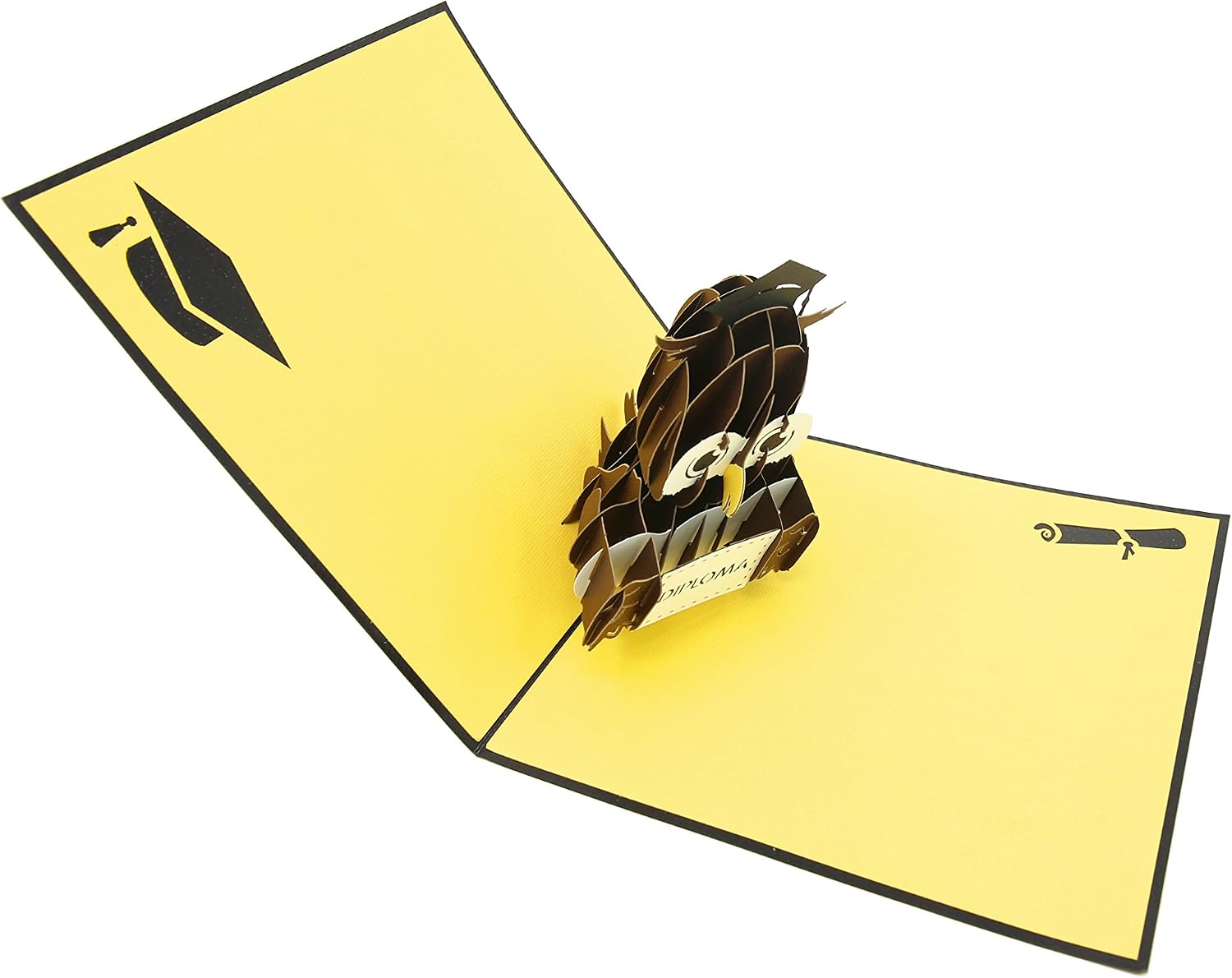 PopLife Graduation Diploma Owl 3D Pop Up Card, 3D Card – Gift for ...
