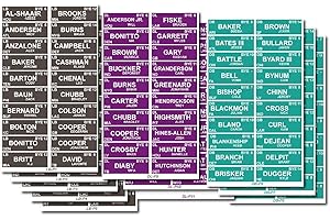 Bambluby Fantasy Football Draft Board Stickers 2025-2026 with Over 596 Players - Alphabetized by Position(Stickers Only) (FFL Stickers(IDP Stickers Included))