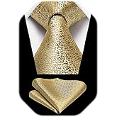 HISDERN Mens Ties Striped Ties for Men Formal Tie and Pocket Square Set Necktie for Wedding Business Graduation