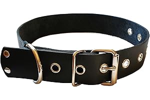 Top Grain Leather Dog Collar, Neck Size 15"-23" Width 1.25" (Black)