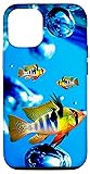 iPhone 12/12 Pro German Blue Ram Cichlids Under