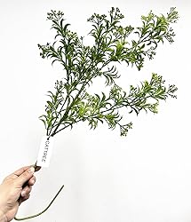 Fake Plants Artificial Plant Simulation Thorn