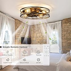Flush Mount Caged Ceiling Fan: 20" Caged Ceiling