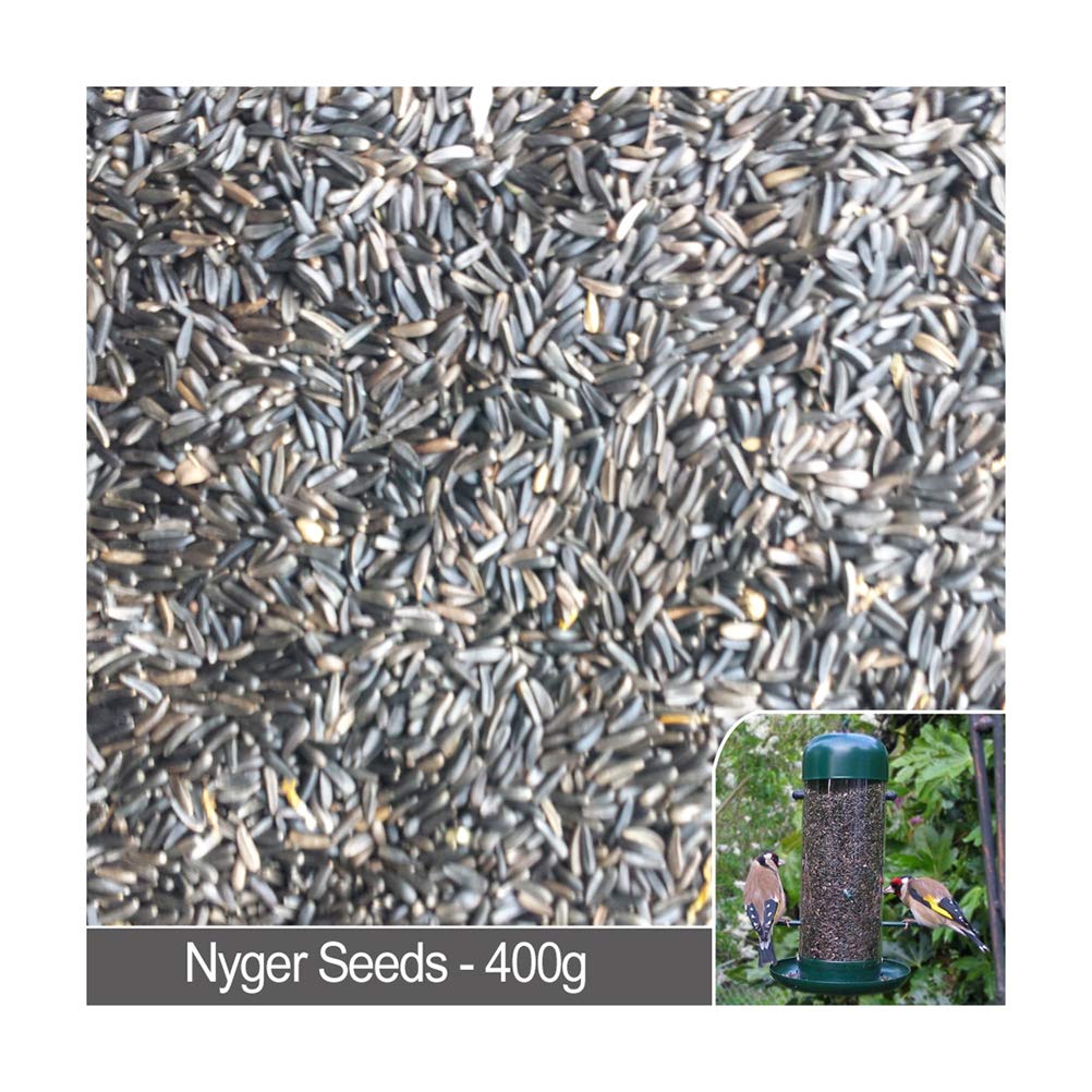 Schone Products (UK) 400g Nyger Seeds – High In Calories – Perfect to gain fat for Winter Months – All Year Round