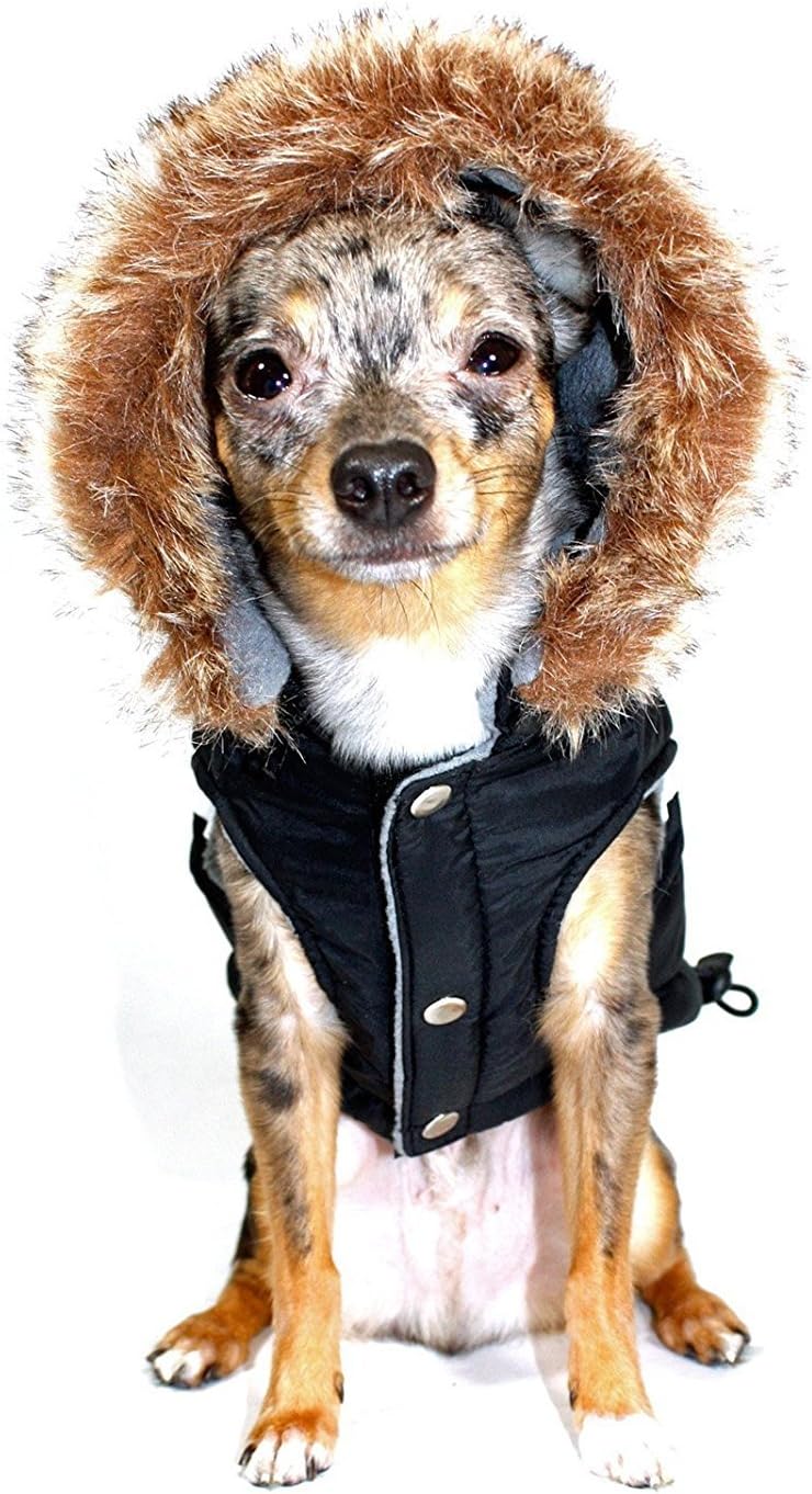 Hip Doggie Swiss Alpine Ski Vest HD 5SABK XS Coat, XS, Black - Image 4