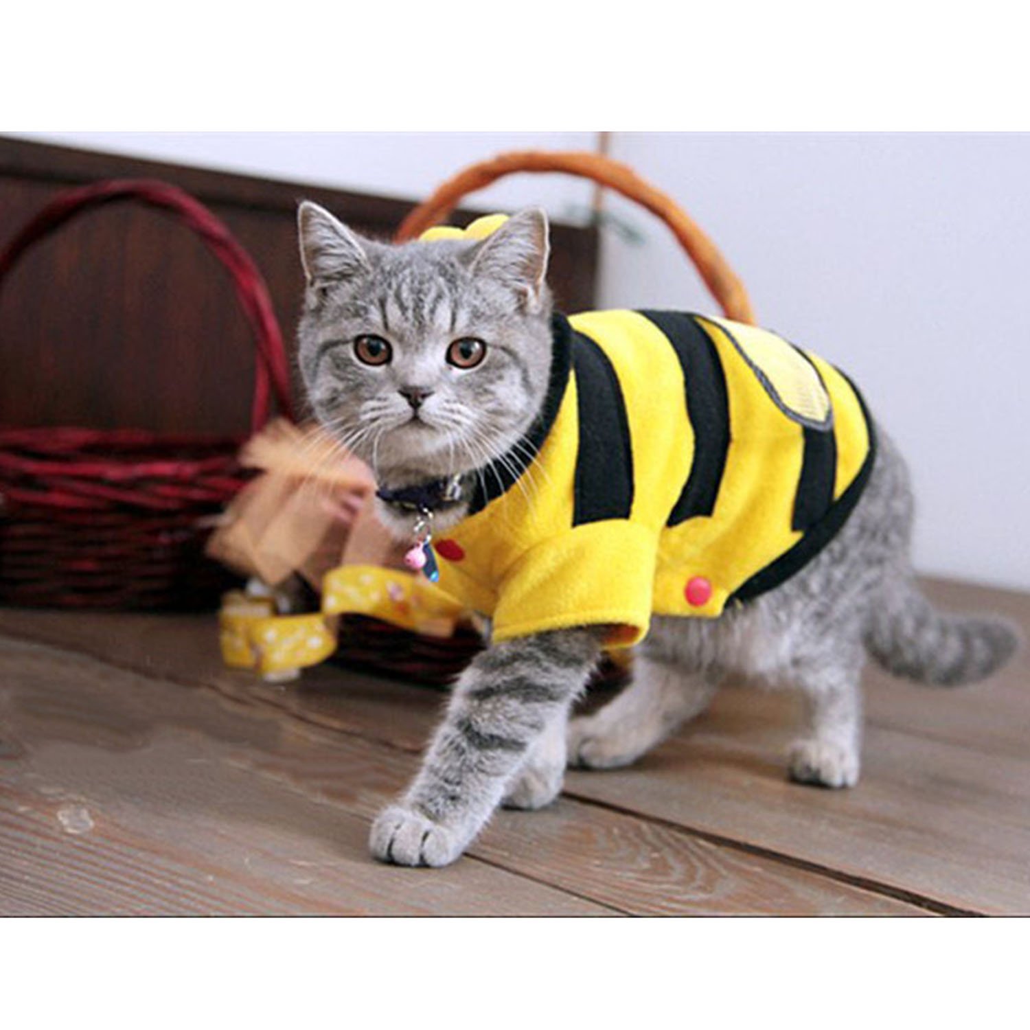 Ropa para gatos Todo gatos