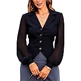 winkbay Women's Mesh Lantern Long Sleeve Tops Elegant Button Down Collared Shirt Work Office Blouses