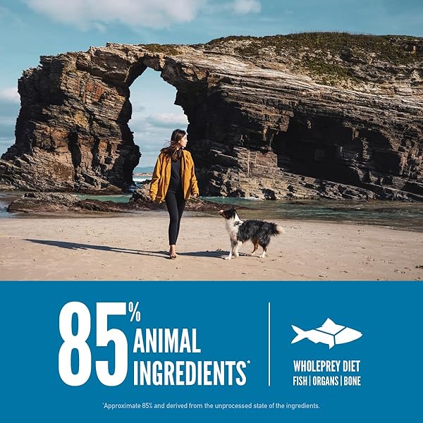 ORIJEN GRAIN FREE POULTRY FREE HIGH PROTEIN DRY DOG FOOD SIX FISH RECIPE 4.5LB BAG