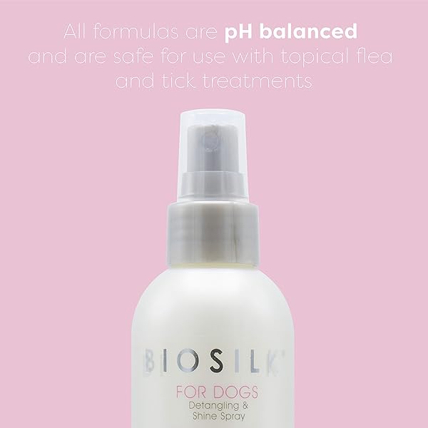 BIOSILK FOR DOGS SILK THERAPY DETANGLING PLUS SHINE MIST FOR DOGS | BEST DETANGLING SPRAY FOR ALL DOGS & PUPPIES FOR SHINY COATS AND DEMATTING | 8 OZ BOTTLE (PACKAGING MAY VARY),WHITE (PACK OF 1)