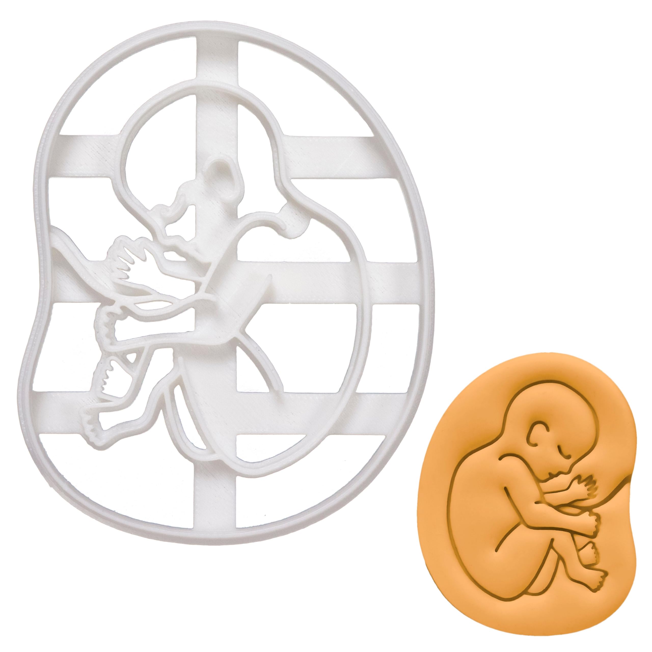 BAKERLOGY 20-Week Fetal Development Cookie Cutter - Detailed Biscuit Cutter Design for Baking and Crafts, Ideal on Fondant, Dough, Clay