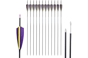 1000 Spine Arrow 28 Inch Arrow Target Practice Arrow Hunting Arrow Carbon Arrows Compound Bow Recurve Bow Adult Youth Archery