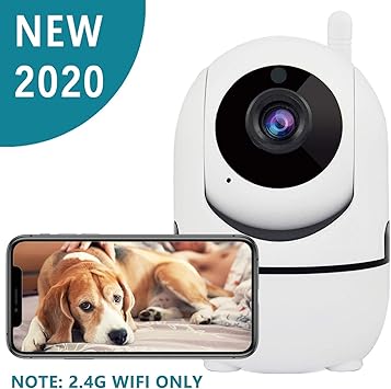 dog video camera app