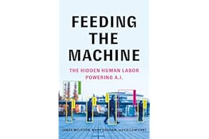Feeding the Machine: The Hidden Human Labor Powering A.I.