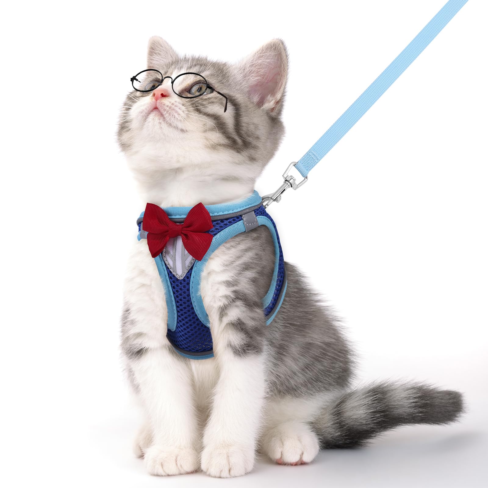 Photo 1 of NCMAMA Cat Vest Harness and Leash Set for Walking, Escape Proof, Adjustable Kitten Harness, Breathable Mesh with Reflective Strips, Detective Conan-Inspired Design, Blue, Medium