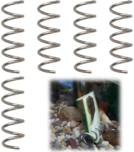 Aquarium-Futterstation Für Vegetarier – Sinkfütterer Für Schmerlen, Malawi-Buntbarsche | Edelstahl 304 | Einfach Zu Bedienen