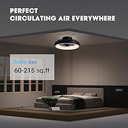 LUDOMIDE Ceiling Fan with Lights, 15" Flush