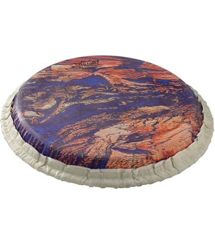 REMO パンデイロ(10インチ) SKYNDEEPヘッド(プラヘッド) USA S-Series Skyndeep Ultratac | Remo