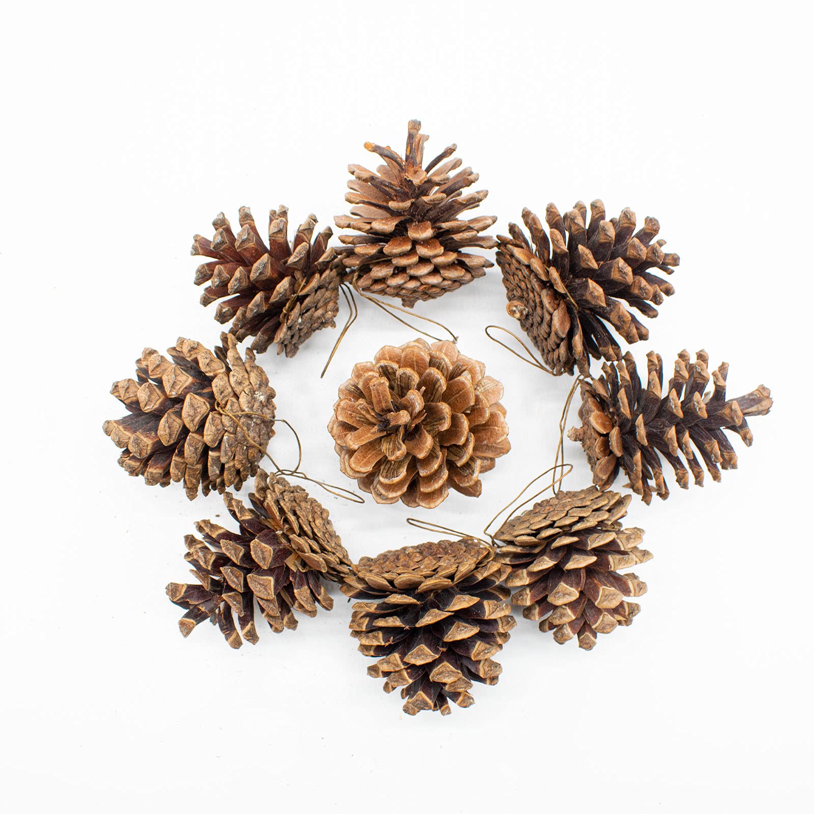 TRIXES 9pc Hanging Pine Cone Decoration – Christmas Tree Decorations - Natural Cones for Baubles, Wreath, Garland – Ornament for Autumn Décor Craft Party Xmas for Home Indoor and Outdoor Use