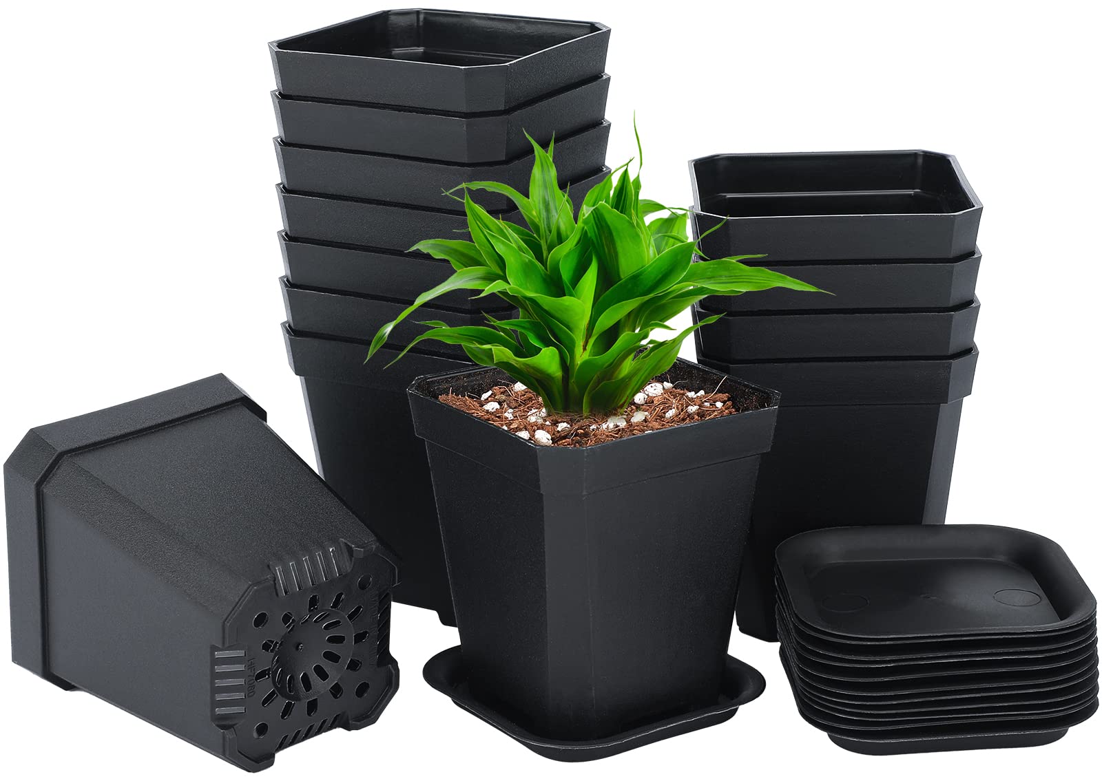 KINGLAKE 12Pcs 7cm Plastic Square Plant Pots with Trays, Thick Seed Seedling Pots, Small Black Nursery Flower Pots for Vegetables Cuttings Succulent Cacti Herbs