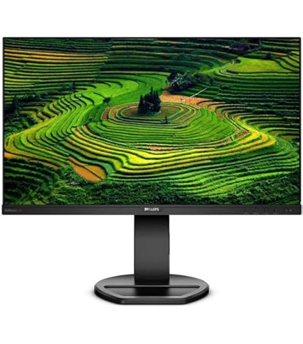 Amazon.com: Philips 241V8L 24